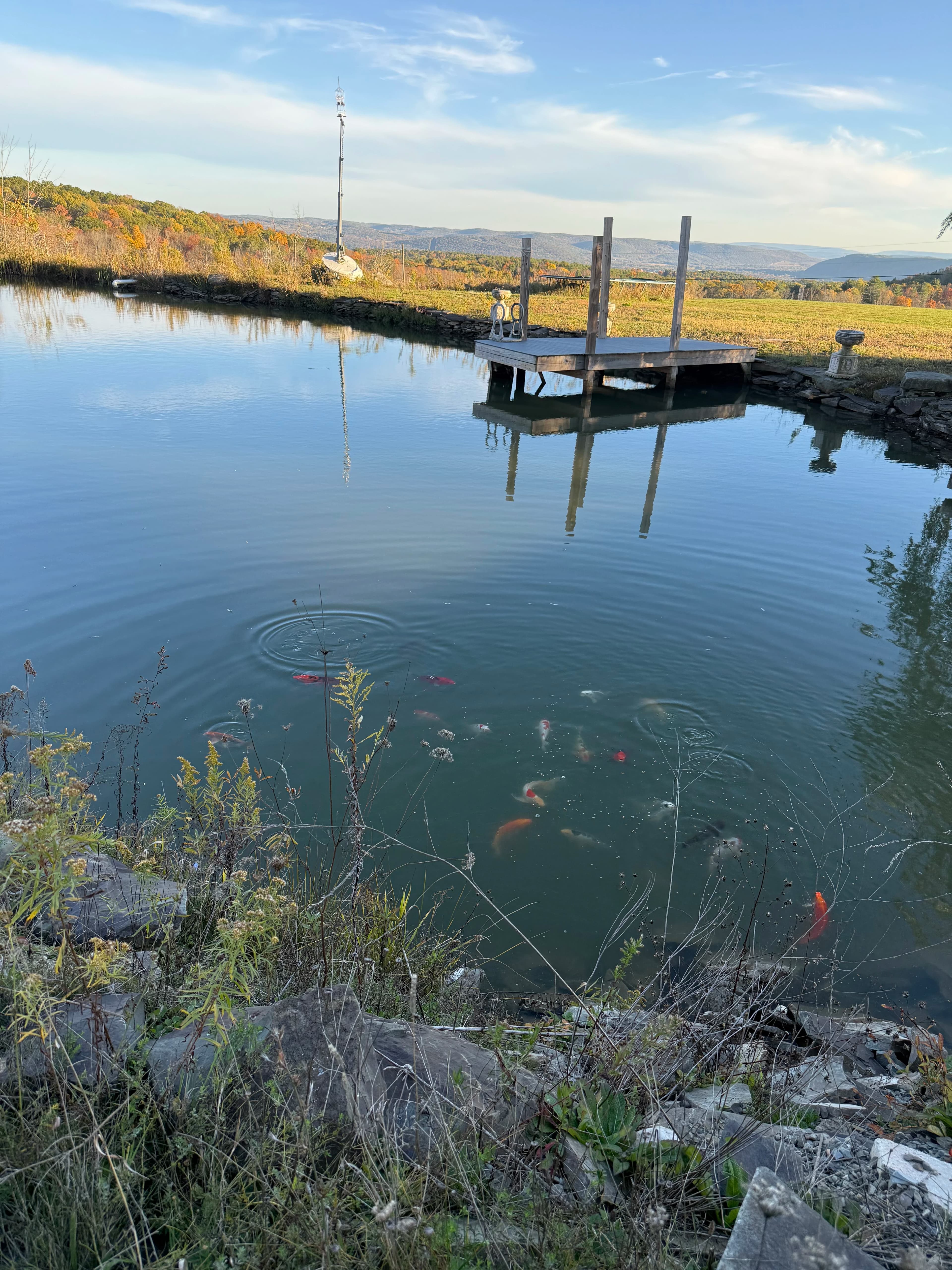 Serene koi pond with dock and rolling hills